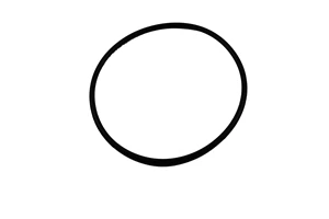 *O'RING; LARGE CLAMP