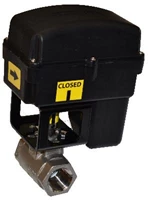 RAVEN IND (NW-9348) 084 063-0173-877 *NH3 STD REG VALVE, CONEXALL, 1"