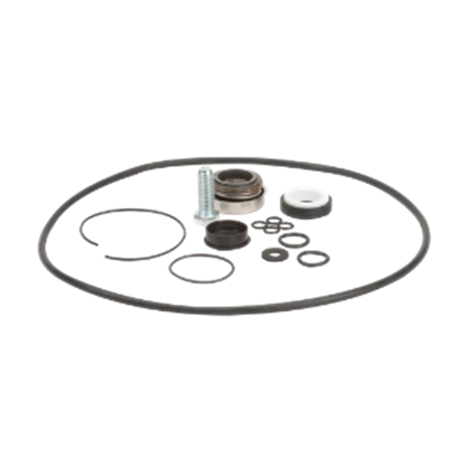 BANJO CORPORATION 102 12999A *PUMP O'RING/SEAL KIT,1997 & NEWER