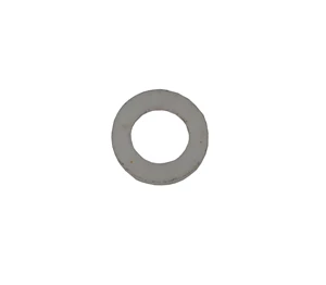 GASKET; 2"  WEAR PLATE BOLT