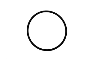 O'RING