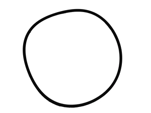 O'RING; 9307 VOLUTE