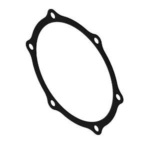GASKET;3" BANJO CAST
