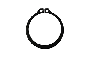 RETAINER RING