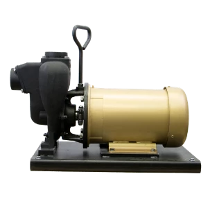 *PUMP, 2" CAST, 5HP 3-PHASE