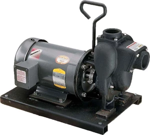 *PUMP, 2" CAST, 5HP 1-PHASE, 230V