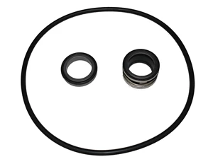 SILICON CARBIDE SEAL + O'RING 9307