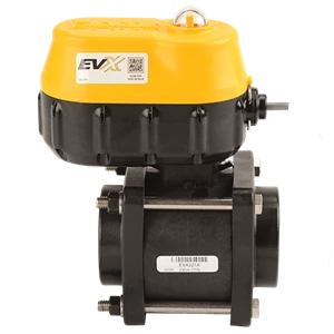 *EVX VALVE; 2" FPT, BOLTED
