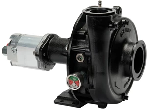 ACE RUN DRY HYD CENT 220 FLG PUMP