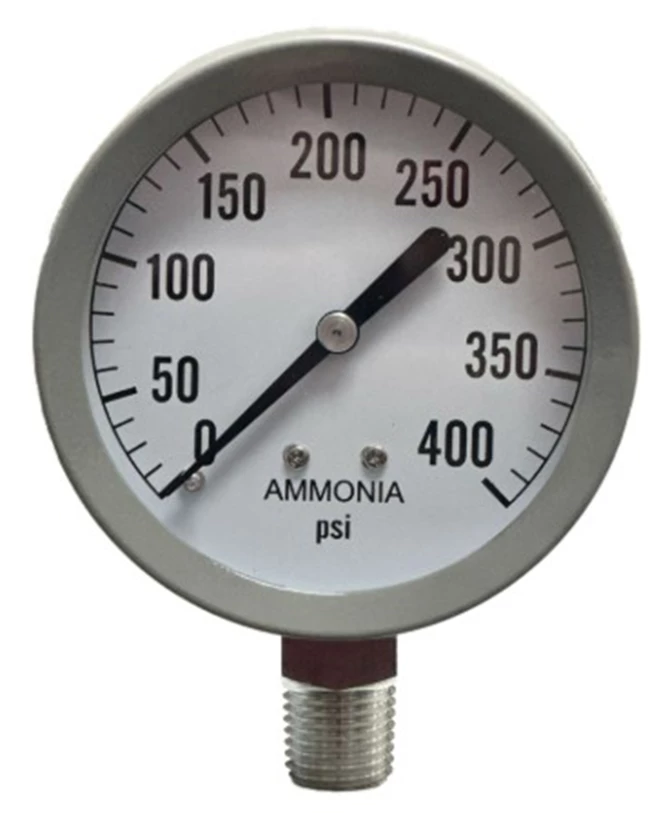 017 GS400 PRESSURE GAUGE, 400#;STAINLESS