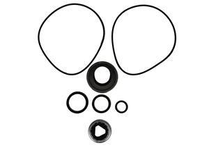 HYD MOTOR KIT; 300 SERIES W/LIP SEAL