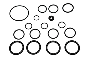 O'RING KIT; D-50 PUMP