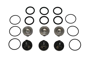 VALVE KIT; D503 PUMP