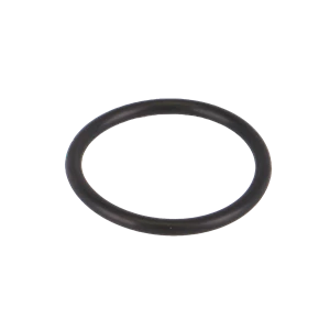 O'RING BANJO Y STRAINER