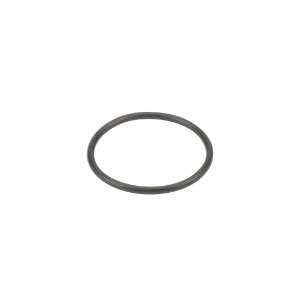 GASKET,EPDM;3/4"-1"  "T" STRAINER