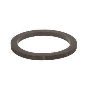 FLANGE GASKET VITON; 300 SERIES