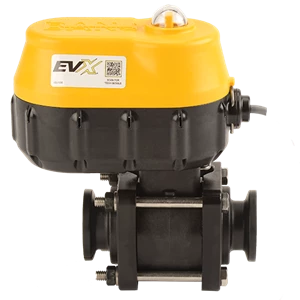 *EVX VALVE; 1" FLG, BOLTED