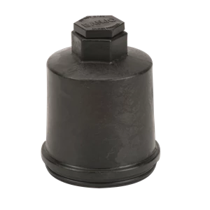 STRAINER CAP; 2"FP FLANGED Y TYPE