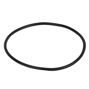 BODY GASKET; MLS220 STRAINER