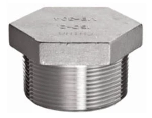 1/8" MPT PLUG; SS