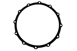 *12 HOLE GASKET; 3" CDS PUMP